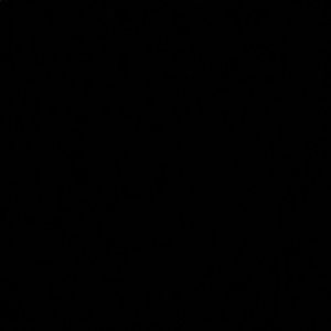 Meet your Posher, Paige